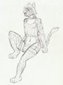 girly skye
