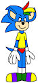 Shield Wing the Hedgehog