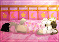 Sleeping without snow