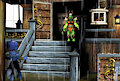 Starfox / making the game 02 10-02-23 by IRASquirrelIRL