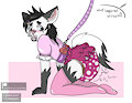 Sissy messy puppy by StinkyBabyRat
