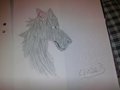 Adult Speck by speckwolf
