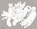 Group Photo #50