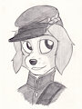 Irish Volunteer