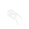 paw sketch