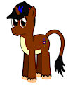 Capped Compass (Ponysona)