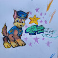 Chase is on on the CASE!