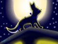 Moonligth -GIFT-