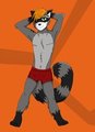 Raccoon Strut by Stripes