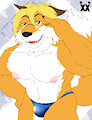 Buff Foxer
