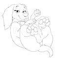 Liberty Paws -C-