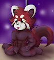 Red Panda by RJQuaty