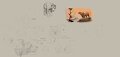 Anatomy Sketches