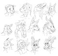 warmup headshots