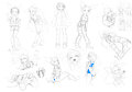 Selene doodles by AlloyRabbit