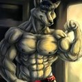 Muscle fox