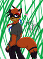 Valentine's Coon