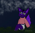 Nighttime sky.