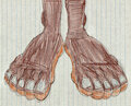 Jordan the Bat Footshot