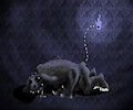 Lurking in the dark