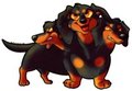 Dachserberus