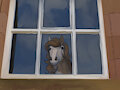 Window by MarsMiner