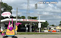 Only in Ohio FREE REQUESTS!