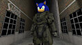 Chief Sonic?