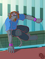 Zals Parkour