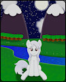Bright White on a Bright Night