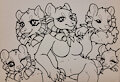 alyssum ; traditional