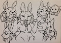 alyssum ; traditional