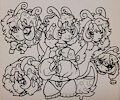 alyssum ; traditional