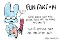 fun fakt about nel
