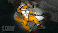 Tails Wrecked