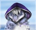 Snow Leopard - Close up by Tassy