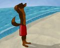 Beach by CursedFire