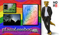 FlawlessDog by FlawlessDog