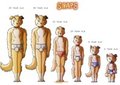 Snaps' Age progression/AR sheet