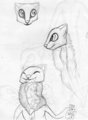 sea kitten eating by w0rmy