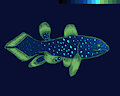 Coelacanth