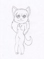 Mango wolf wip