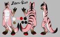 Neapolitan Zebra Roo