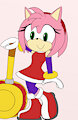 Amy Rose Old and New Pic