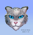 Snow Leopard Tutorial