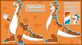 Splash reff sheet
