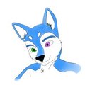 WIP Husky 2