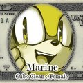 Surprised Marine!