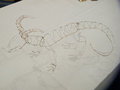 Spoils of MFF 2012