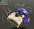 Otter memory card